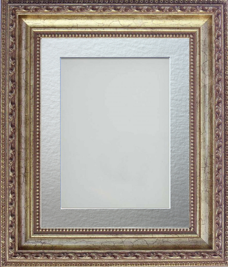 Fiorelli Gold 24x20 frame with Silver mount cut for image size 20x16