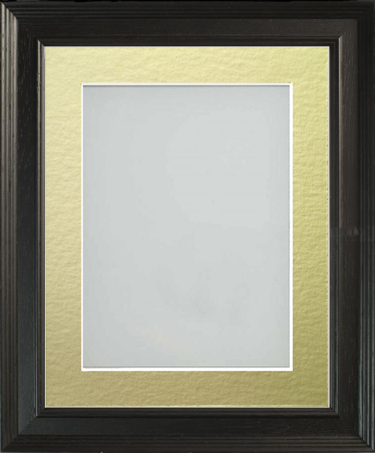 Franklin Black 18x12 frame with Gold mount cut for image size