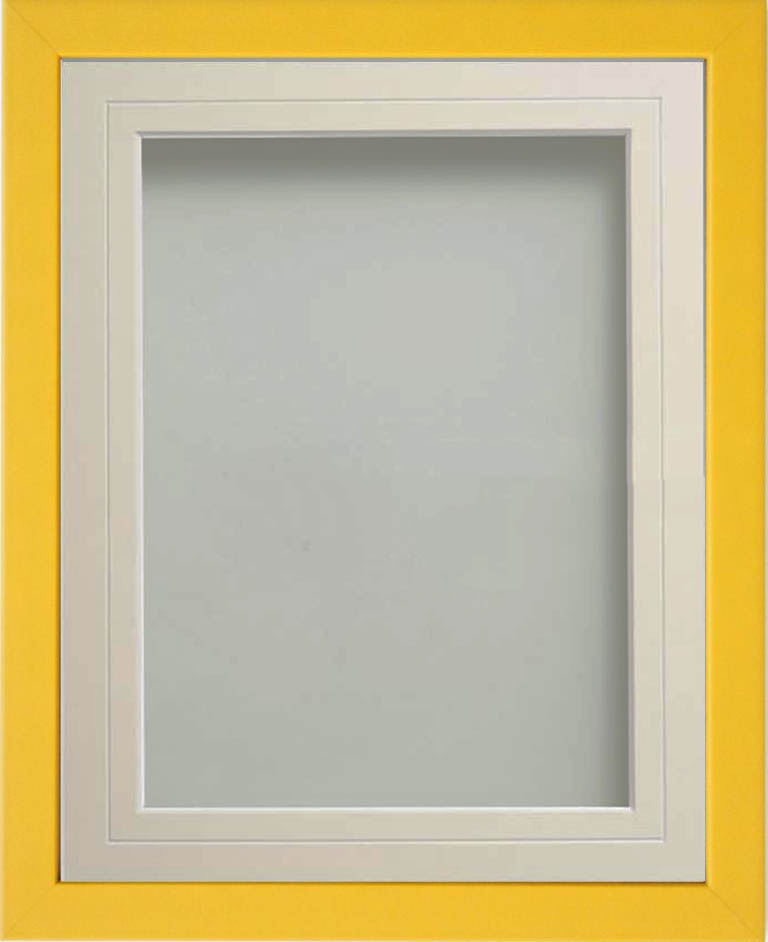 Jellybean Mustard Yellow 14x11 frame with Ivory VGroove mount cut for